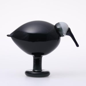 Birds Ibis ダークグレー 0024