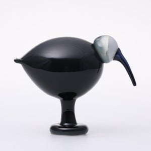 Birds Ibis ダークグレー 0035