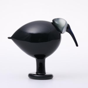 Birds Ibis ダークグレー 0036