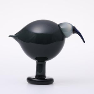 Birds Ibis ダークグレー 0041