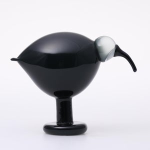 Birds Ibis ダークグレー 0042