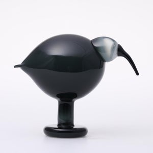 Birds Ibis ダークグレー 0043