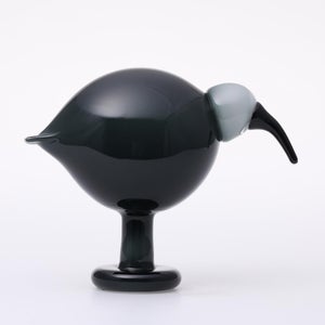 Birds Ibis ダークグレー 0051