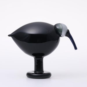 Birds Ibis ダークグレー 0052