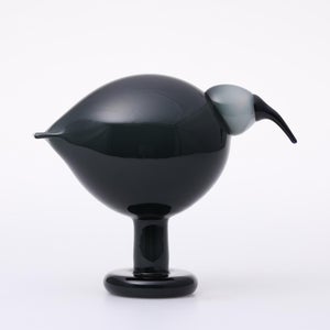 Birds Ibis ダークグレー 0053