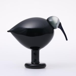 Birds Ibis ダークグレー 0054