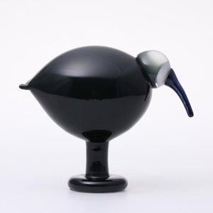 Birds Ibis ダークグレー 0055