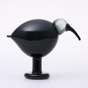 Birds Ibis ダークグレー 0057