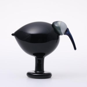 Birds Ibis ダークグレー 0059