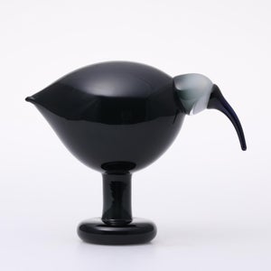 Birds Ibis ダークグレー 0060