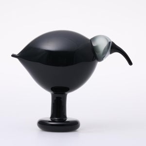 Birds Ibis ダークグレー 0061