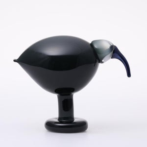 Birds Ibis ダークグレー 0062