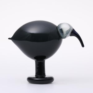 Birds Ibis ダークグレー 0063