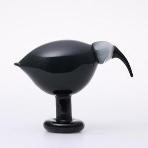 Birds Ibis ダークグレー 0067