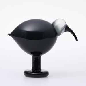 Birds Ibis ダークグレー 0070