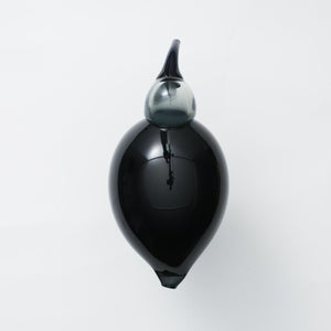 Birds Ibis ダークグレー 0002