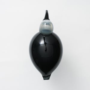 Birds Ibis ダークグレー 0019