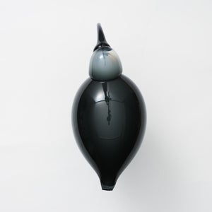 Birds Ibis ダークグレー 0021