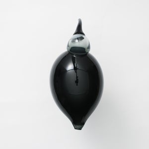 Birds Ibis ダークグレー 0028