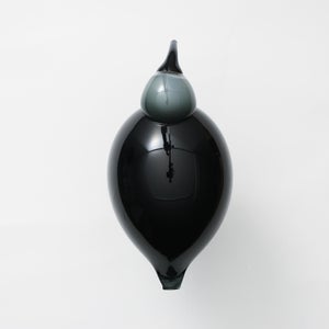 Birds Ibis ダークグレー 0030