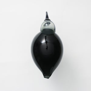 Birds Ibis ダークグレー 0032