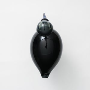 Birds Ibis ダークグレー 0036