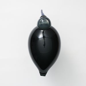 Birds Ibis ダークグレー 0038