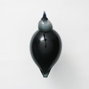 Birds Ibis ダークグレー 0041