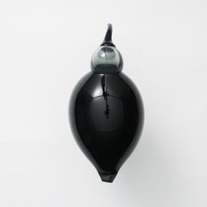 Birds Ibis ダークグレー 0042