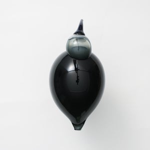 Birds Ibis ダークグレー 0043