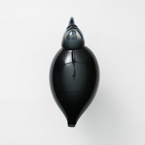 Birds Ibis ダークグレー 0045