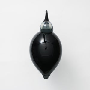 Birds Ibis ダークグレー 0047