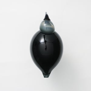 Birds Ibis ダークグレー 0049