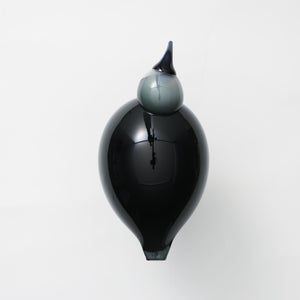 Birds Ibis ダークグレー 0053