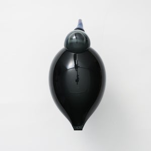 Birds Ibis ダークグレー 0055