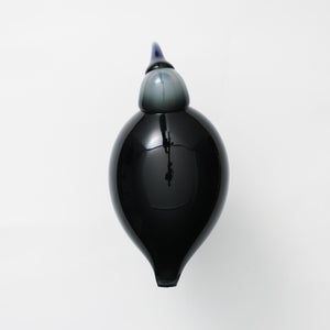 Birds Ibis ダークグレー 0060