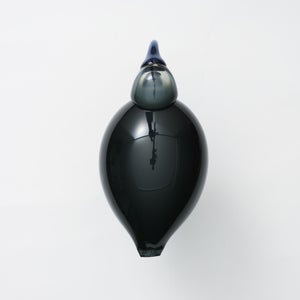 Birds Ibis ダークグレー 0062