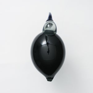 Birds Ibis ダークグレー 0063