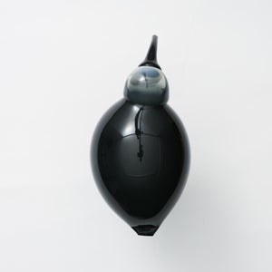 Birds Ibis ダークグレー 0066