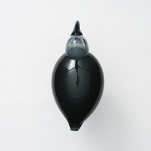 Birds Ibis ダークグレー 0068