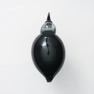 Birds Ibis ダークグレー 0070