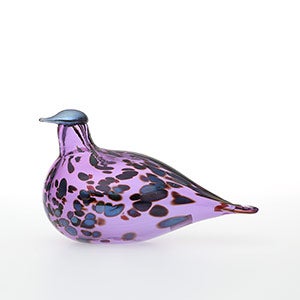 Birds Amethyst bird 0071