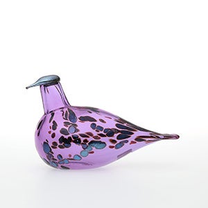 Birds Amethyst bird 0075