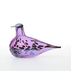 Birds Amethyst bird 0087