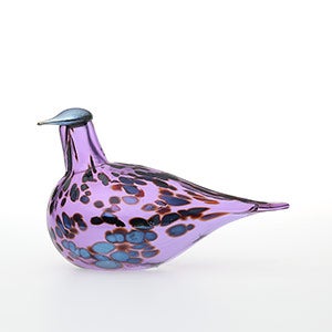 Birds Amethyst bird 0094