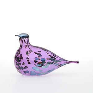 Birds Amethyst bird 0110