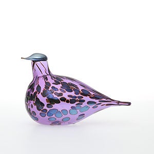 Birds Amethyst bird 0122