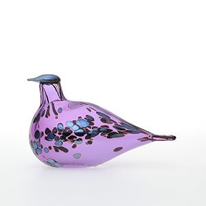 Birds Amethyst bird 0124