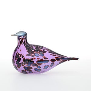 Birds Amethyst bird 0125