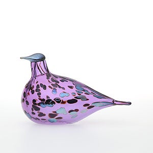 Birds Amethyst bird 0129